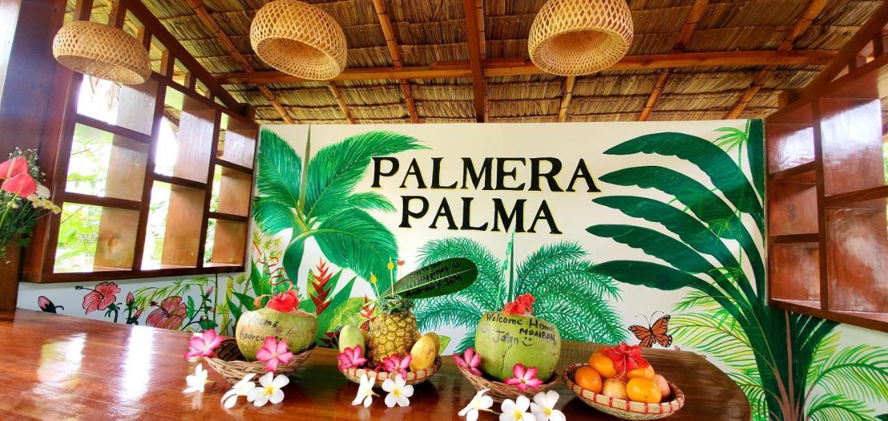 Palmera Palma Garden Level Moalboal Eksteriør billede